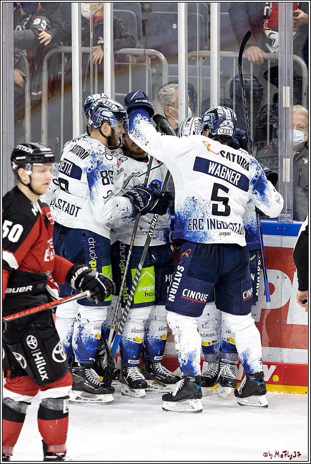 PENNY DEL;  Koelner Haie - ERC Ingolstadt; Koeln, 19.12.2021